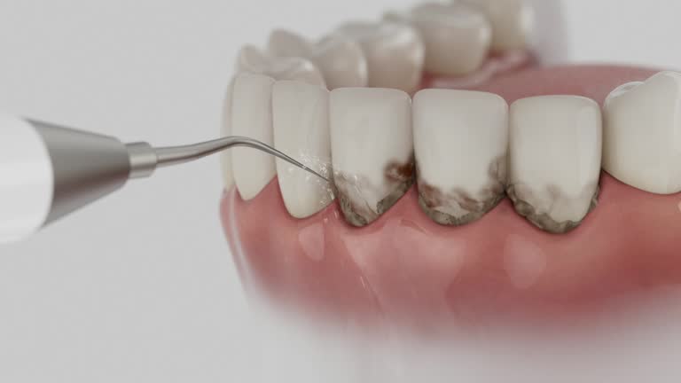 Reliable Dental contractor in Vernon, AL by Dentist Open Now